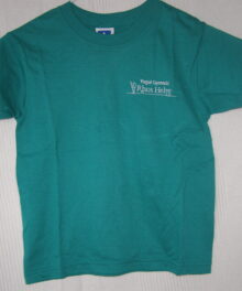Ysgol Rhoshelyg - Green PE T shirt