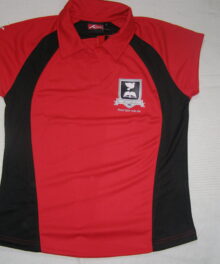 Ysgol Henry Richards Polo Shirt /Crys Polo - Girls Fitted/ Merched Gosod