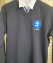 NEW Yrs 7-11  Penglais V-Necked Navy Sweatshirt
